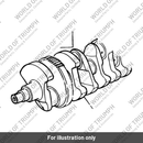Crankshaft (1100001-T0301)