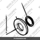 Washer (1170020-T0301)