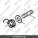 Spring detent (1190140-T0301)