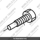 Bolt (1190170-T0301)