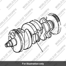 Crankshaft assembly (1200400-T0301)