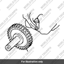 Gear & shaft (1210290-T0301)