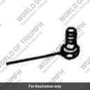 Banjo bolt (1210455-T0301)
