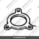 Retaining plate (1230055-T0301)