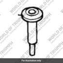 Screw (1260018-T0301)