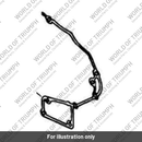 Gasket (1260028-T0301)