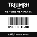 Igniter (1290100-T0301) barcode