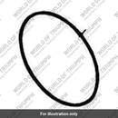 Finisher (1300040-T0301)