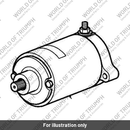 Starter motor (1310000-T0301)
