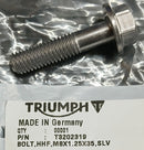 T3202319 | Bolt HHF M8 x 35 Slv