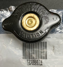 T2100074 | Cap Assy