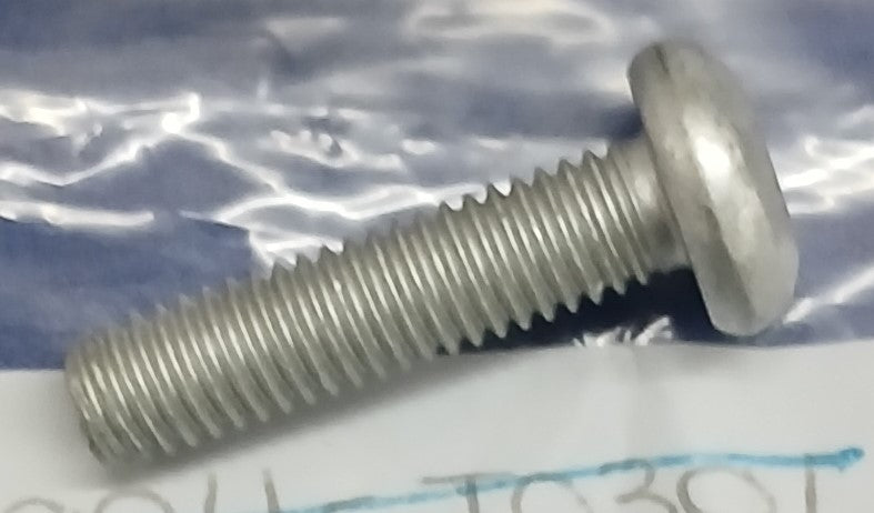 T3330186 | Screw Pan HD Tx M6 x 25 Slv