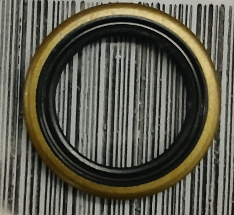 T3600142 | Oil Seal 15 21 3