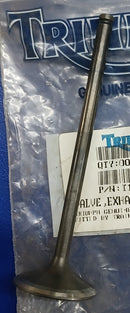 T1131100