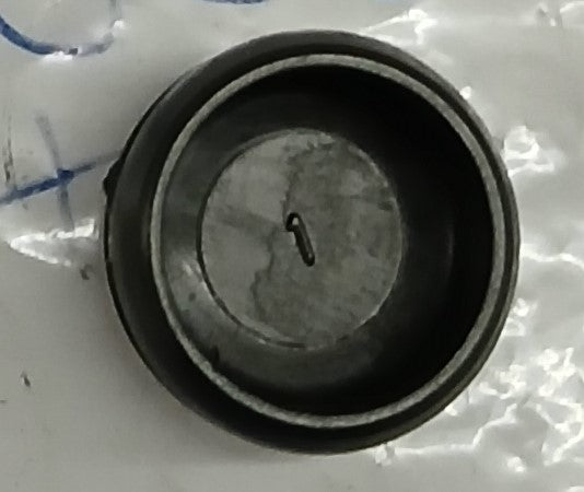 A9500089 | Cap Plastic