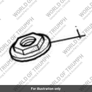 Adjuster nut (2040225-T0301)