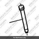 Cylinder assembly (2043058-T0301)