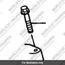 Bolt (2043078-T0301)