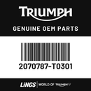 Lifting handle (2070787-T0301) barcode