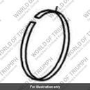 Retainer ring (2200014-T0301)