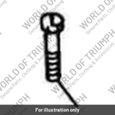 Fastener (2300076-T0301)