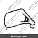 Mirror assembly RH (2300158-T0301)