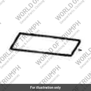 Knee pad lower rh (2300168-T0301)