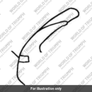 Decal (2302651-T0301)