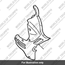 Fairing rh (2304057-T0301)