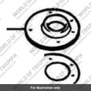 Filler cap support (2400091-T0301)