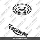 Fuel tank (2400227-T0301)