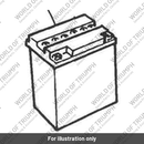 Battery (2500008-T0301)