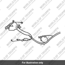 Harness main (2500043-T0301)