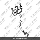 Bulb (2500095-T0301)