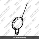Horn (2500120-T0301)