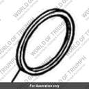 Rim head lamp (2700200-T0301)