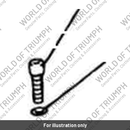 Capscrew (3050023-T0301)