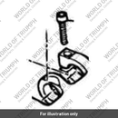 Capscrew (3050026-T0301)
