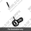 Capscrew (3050038-T0301)