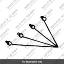 Screw (3150006-T0301)