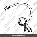 Screw, Phil, M5 x 30 (3330019-T0301)