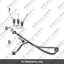 Brake Hose Kit, Front M/Cyl - ABS Unit (36TA0141)