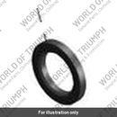 Oil Seal (39187019)