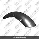 Front Mudguard (56TAG1BA)