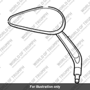 Mirror, Oval, LH, Blk, Assy (A9630132)