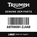 Custom Paint Kit, Colour (A9708061-ZJIAB) barcode