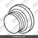 Oil Gallery Plugs, Chrome (A9738133)