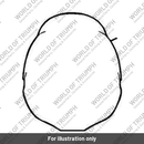 Flyscreen Kit (A9748021-ZGGA)