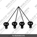 Screw, Carriage, 5/16 - 18 x 5/8 (A9750643)