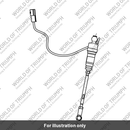 Triumph Shift Assist (A9770290)